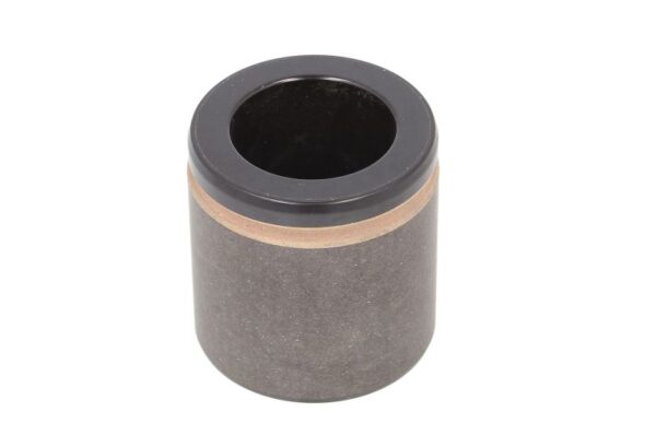 Piston etrier BBP 7956BBP păreri