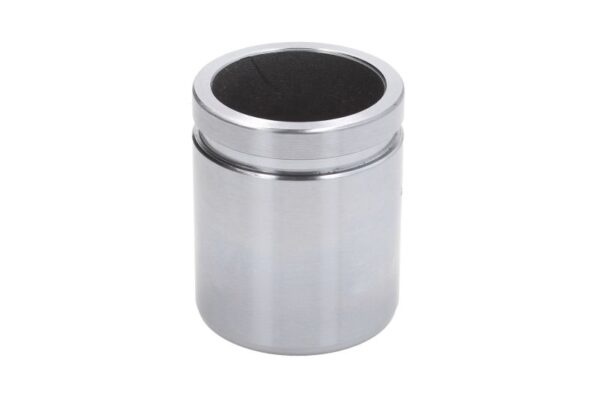 Piston etrier AUTOFREN SEINSA D0-25595 păreri