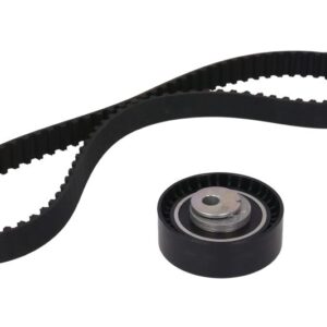 Set curea de distribuție INA 530 0142 10