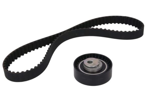 Set curea de distributie INA 530 0142 10 păreri