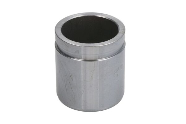 Piston etrier AUTOFREN SEINSA D0-25547 păreri