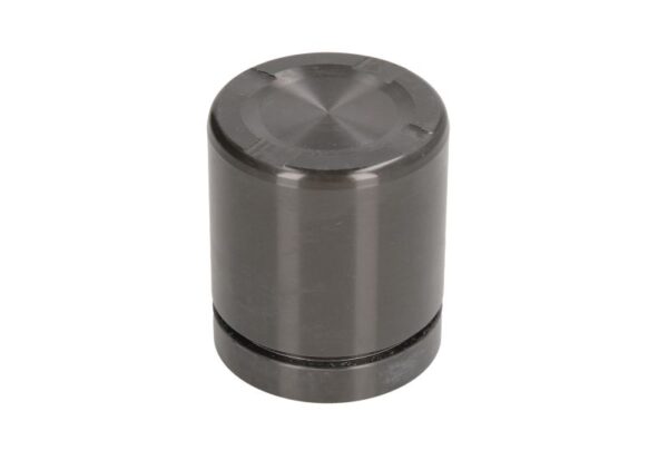 Piston etrier AUTOFREN SEINSA D0-25553 păreri