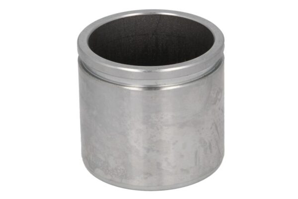 Piston etrier AUTOFREN SEINSA D0-25655 păreri