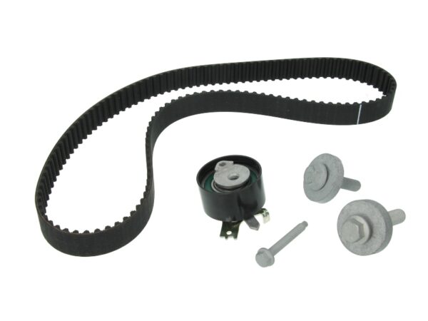 Set curea de distributie INA 530 0197 10 păreri