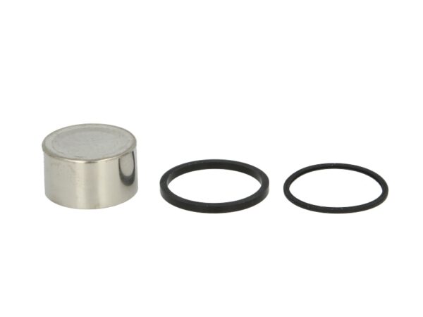 Piston etrier TOURMAX CPK-205 păreri