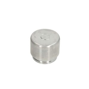 Piston etrier AUTOFREN SEINSA D0-25693
