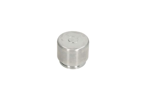 Piston etrier AUTOFREN SEINSA D0-25693 păreri