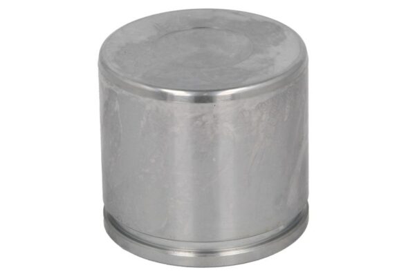 Piston etrier AUTOFREN SEINSA D0-25655 păreri