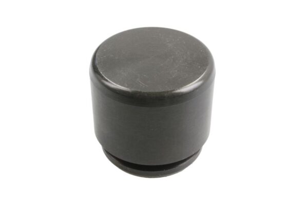 Piston etrier AUTOFREN SEINSA D0-25367 păreri