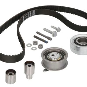 Set curea de distribuție INA 530 0082 10