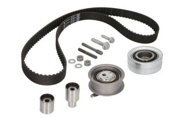 Set curea de distributie INA 530 0082 10 păreri