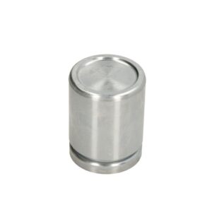 Piston etrier AUTOFREN SEINSA D0-25646