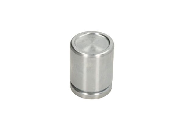 Piston etrier AUTOFREN SEINSA D0-25646 păreri