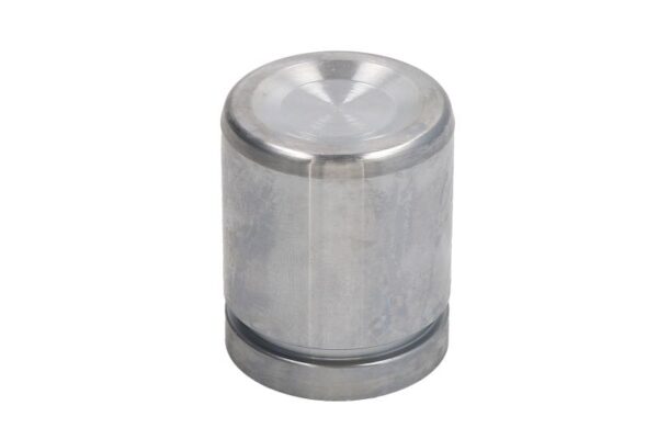 Piston etrier AUTOFREN SEINSA D0-25497 păreri