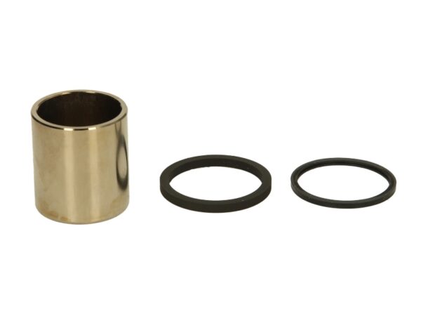 Piston etrier TOURMAX CPK-102 păreri