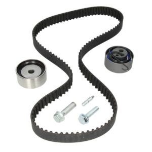 Set curea de distribuție INA 530 0491 10