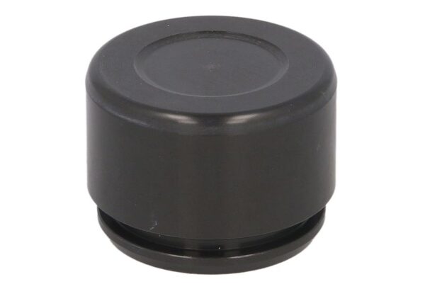 Piston etrier AUTOFREN SEINSA D0-25775 păreri