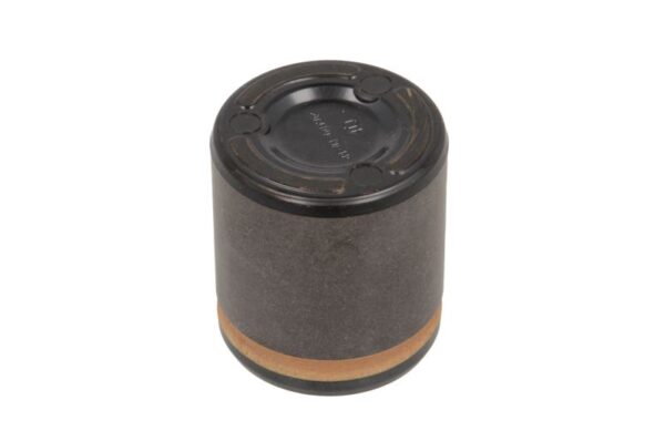 Piston etrier BBP 7902BBP păreri