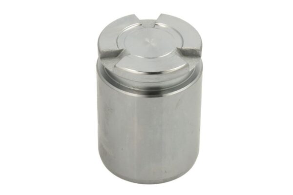 Piston etrier AUTOFREN SEINSA D0-25541 păreri