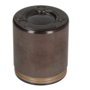 Piston etrier BBP 7950BBP