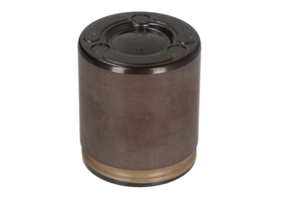 Piston etrier BBP 7950BBP păreri