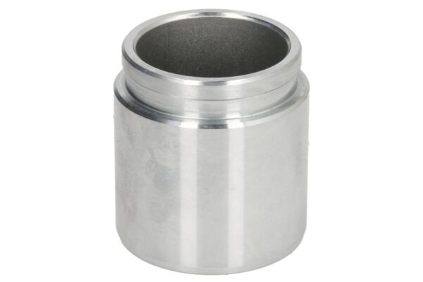 Piston etrier BBP 7008 CARLSON păreri