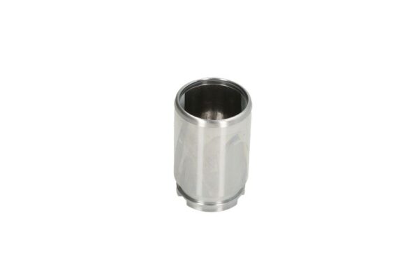 Piston etrier AUTOFREN SEINSA D0-25620 păreri