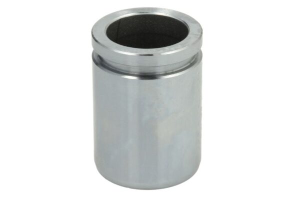 Piston etrier AUTOFREN SEINSA D0-25550 păreri