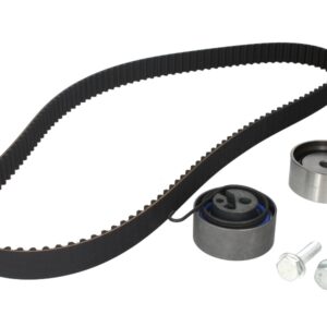Set curea de distribuție INA 530 0494 10