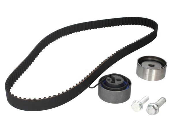 Set curea de distributie INA 530 0494 10 păreri