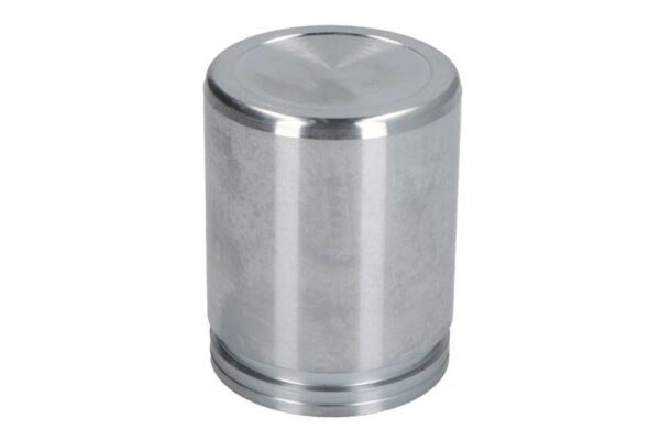 Piston etrier AUTOFREN SEINSA D0-25282 păreri