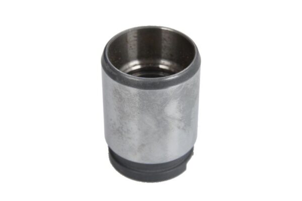 Piston etrier CQ CQ71344711 păreri