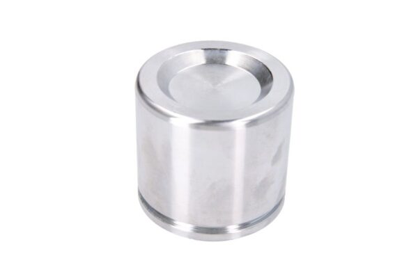 Piston etrier AUTOFREN SEINSA D0-25666 păreri