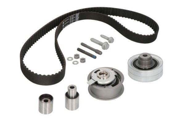 Set curea de distributie INA 530 0082 10 păreri