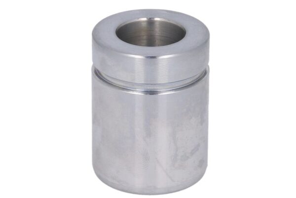 Piston etrier AUTOFREN SEINSA D0-25522 păreri