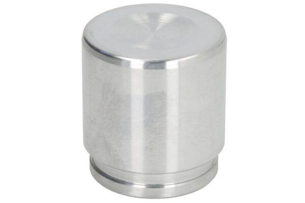 Piston etrier BBP 7008 CARLSON păreri