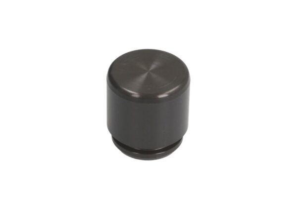 Piston etrier AUTOFREN SEINSA D0-25366 păreri