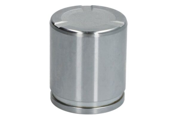 Piston etrier AUTOFREN SEINSA D0-25913 păreri