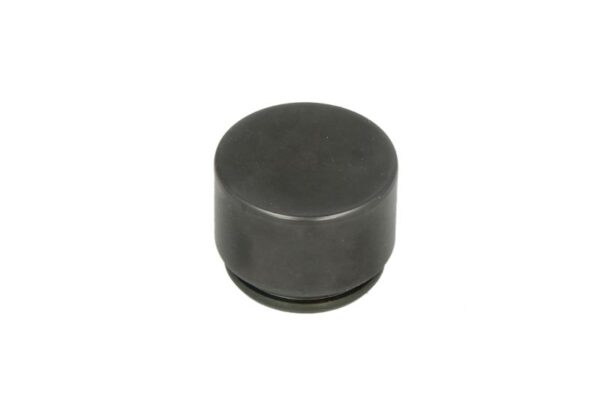 Piston etrier CQ CQ71362922 păreri