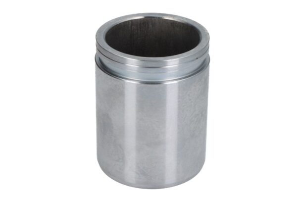 Piston etrier AUTOFREN SEINSA D0-25282 păreri