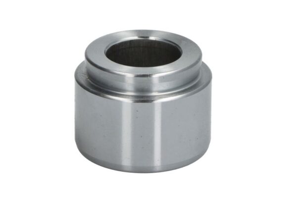 Piston etrier AUTOFREN SEINSA D0-25444 păreri