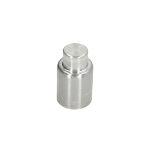 Piston etrier AUTOFREN SEINSA D0-25640