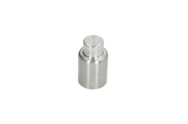 Piston etrier AUTOFREN SEINSA D0-25640 păreri