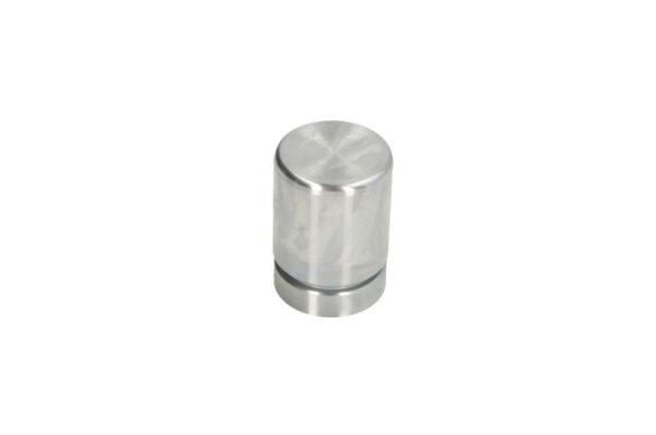 Piston etrier AUTOFREN SEINSA D0-25648 păreri