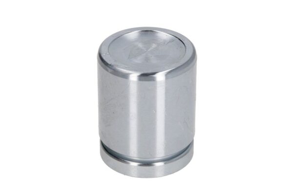 Piston etrier AUTOFREN SEINSA D0-25552 păreri