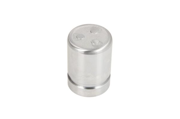 Piston etrier AUTOFREN SEINSA D0-25342 păreri