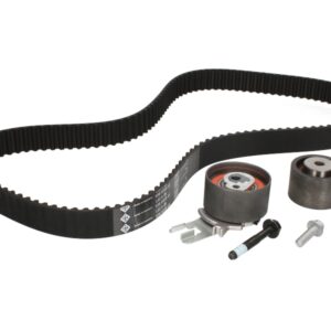 Set curea de distribuție INA 530 0582 10