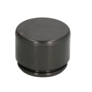 Piston etrier AUTOFREN SEINSA D0-25255