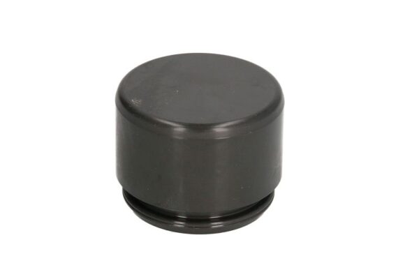 Piston etrier AUTOFREN SEINSA D0-25255 păreri