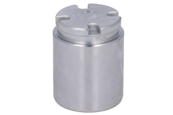 Piston etrier AUTOFREN SEINSA D0-25778 păreri